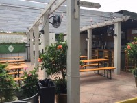 LIve music with Eric Swartz