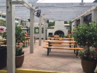 Live Music By Porkchop