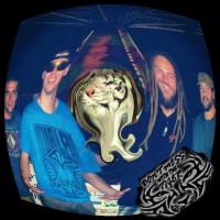 DON’T MESS WITH THE TIGER