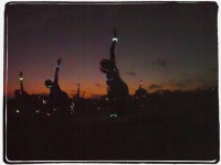 Serenity Tree Yoga At The Beach (GLOW YOGA)